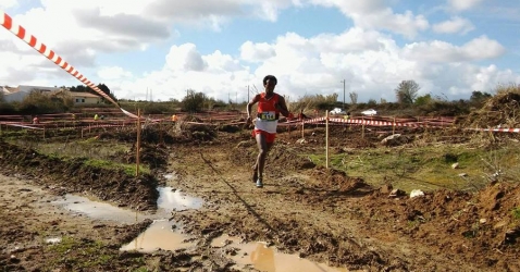 Domínio Absoluto no Campeonato Distrital de Corta Mato